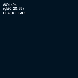 #001424 - Black Pearl Color Image